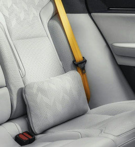 Comfort cushion, Polestar