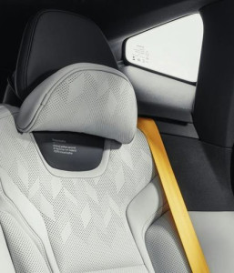 Headrest comfort cushion, Polestar