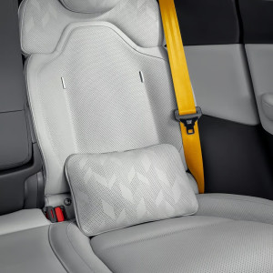 Backrest comfort cushion, Polestar